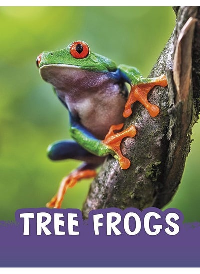 اشتري Tree Frogs في الامارات