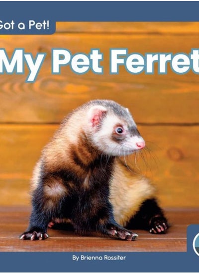 Buy I Got a Pet! My Pet Ferret in UAE