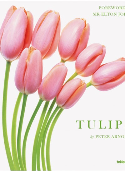 Buy Tulips in Saudi Arabia