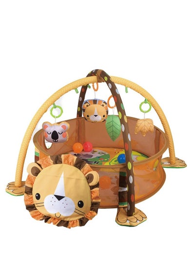 Buy Baby Activity Gym With 30 Balls in UAE