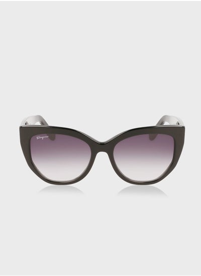 Buy Oversized Sunglasses in UAE