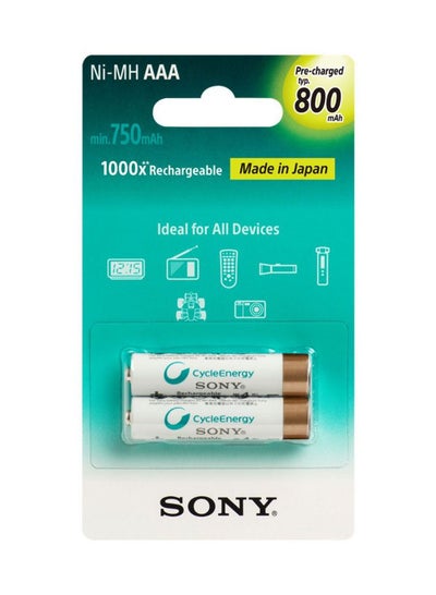 Buy 2 Pieces Rechargeable AAA Battery 800 mAh in UAE