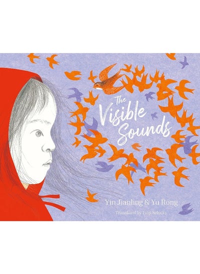 اشتري The Visible Sounds في الامارات