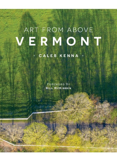 Buy Art from Above : Vermont in Saudi Arabia