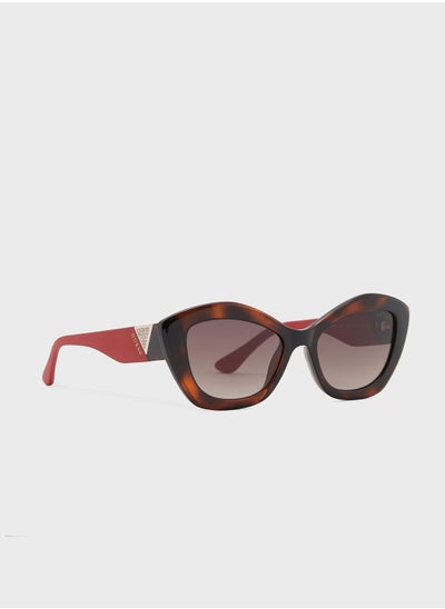 Buy Oversized Sunglasses in UAE