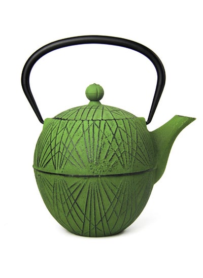 Buy Elevate Your Tea Experience Green 1.1L Cast Iron Teapot with Enamel Coating in UAE