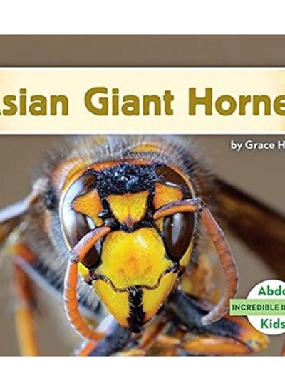 Buy Incredible Insects: Asian Giant Hornet in UAE