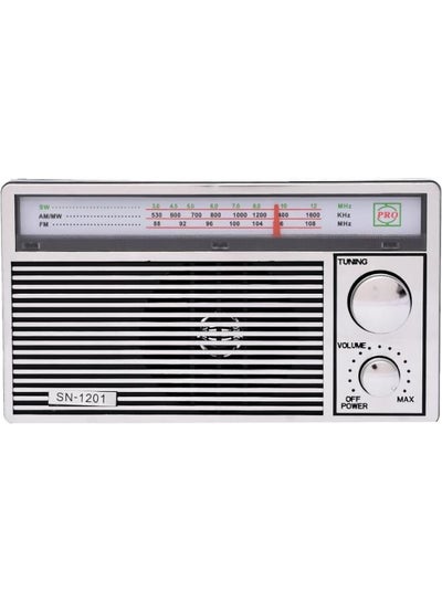 Buy SN-1201 Radio FM/AM/SW Support USB/SD MUSIC PLAYER Regareable Battery - silver in Egypt