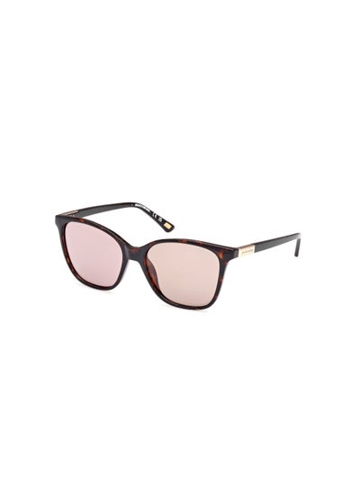 اشتري Women's Square Shape  Sunglasses SE636152H56 Lens Size: 56 Millimeter - Dark Havana في السعودية