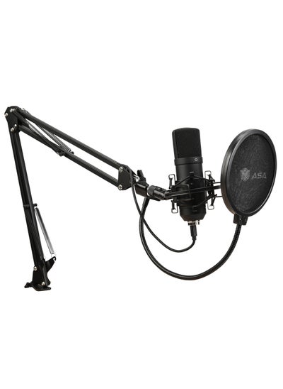 Buy Professional USB Studio Microphone, With Adjustable Arm Stand, Pop Filter, Shock Mount, For Streaming, Podcasting, Gaming, Voice-overs, Acoustic music in Saudi Arabia