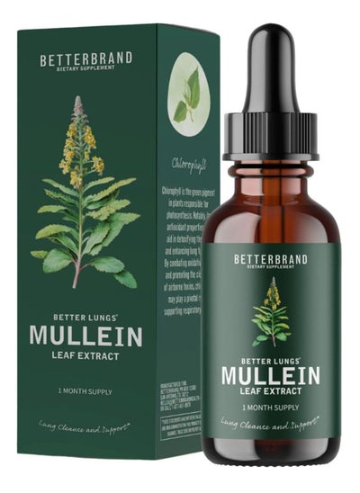 اشتري مستخلص أوراق مولين من BetterLungs Mullein Leaf Extract - يدعم تنظيف الرئة ووظيفة الجهاز التنفسي من أجل تنفس صحي - مكمل طبيعي، قطرة صبغة | غير معدلة وراثياً، نباتي في السعودية