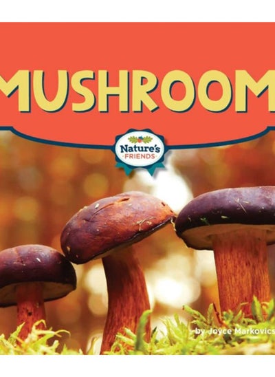 Buy Mushrooms in UAE