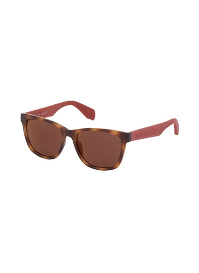 Buy Navigator Sunglasses OR004455U54 in Saudi Arabia