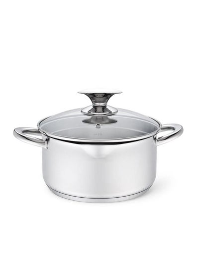 Buy Stainless Steel Stockpot With Glass Lid 24cm in UAE