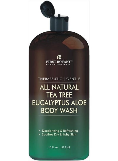 Buy ALL Natural Tea Tree Body Wash - Fights Body Odor, Athlete's Foot, Jock Itch, Nail Issues, Dandruff, Acne, Eczema, Shower Gel for Women & Men, Eucalyptus Aloe Skin Cleanser / body soap-16 fl oz in UAE