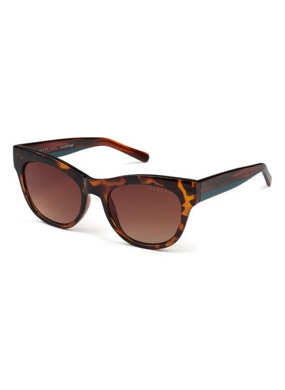 اشتري RDS-6508 Women Cat Eye Polarized Sunglasses Brown 52 mm في الامارات