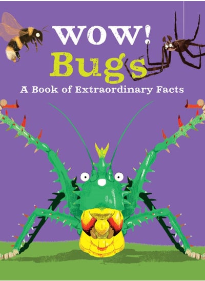 Buy Wow! Bugs in UAE