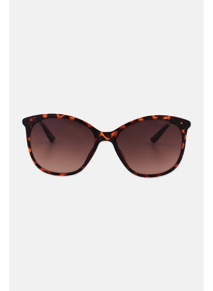 اشتري Men KC2840 Oval Sunglasses, Black/Dark Brown في الامارات