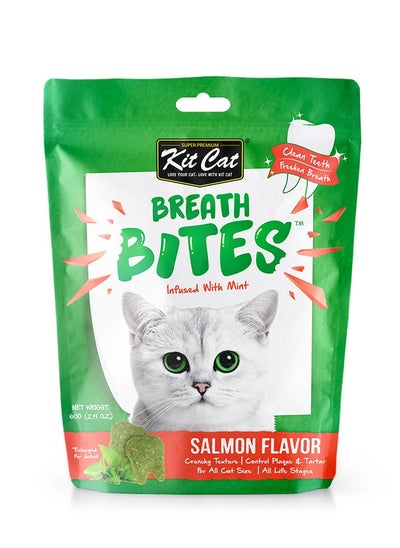 Buy Kit Cat Breath Bites Salmon Flavor 60g in UAE