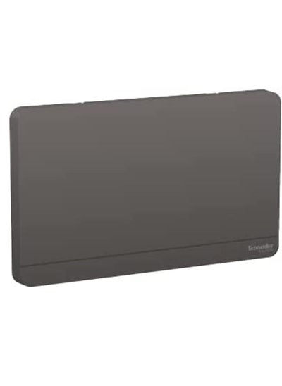 Buy Schneider Electric AvatarOn, 2G Blank Plate, Dark grey (Model Number -E8330TX_DG) in UAE