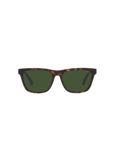 Buy Full Rim Square Sunglasses 4167-56-5003-71 in Egypt