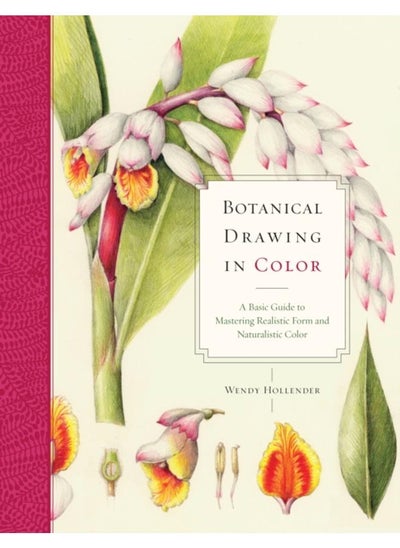 Buy Botanical Drawing in Color in UAE