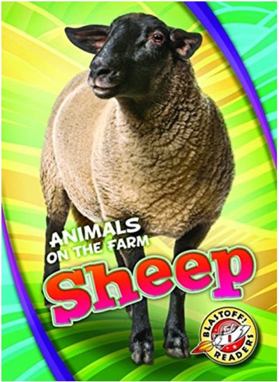 Buy Sheep in UAE