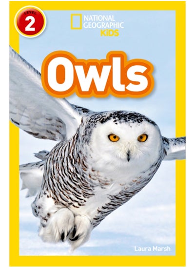 Buy Owls : Level 2 in Saudi Arabia