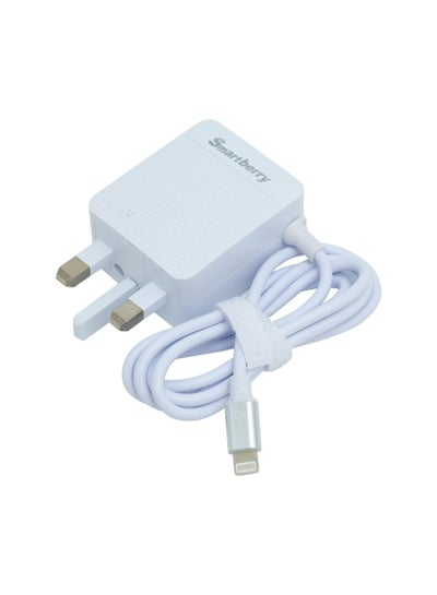 Buy Smartberry 3.1A C301i Fast charger Lightning with 2 USB slots in UAE