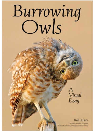 Buy Burrowing Owls : A Visual Essay in Saudi Arabia