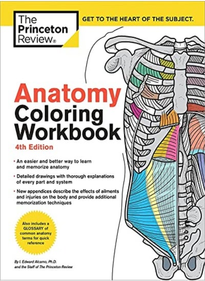 Buy Anatomy Coloring Workbook, 4th Edition: An Easier and Better Way to Learn Anatomy in UAE