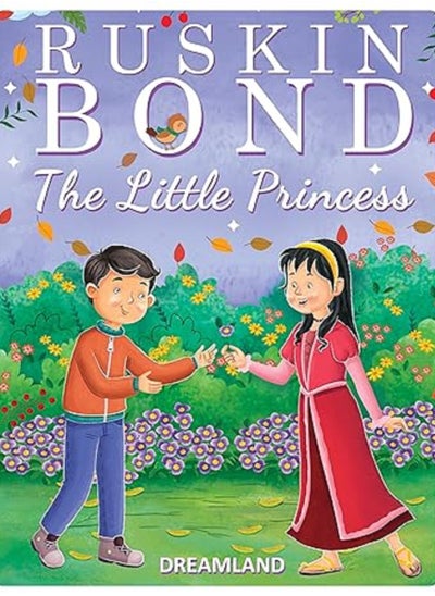 Buy The Little Princess Paperback – 1 January 2021 in UAE