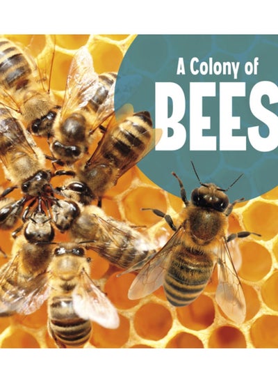 اشتري A Colony of Bees في الامارات