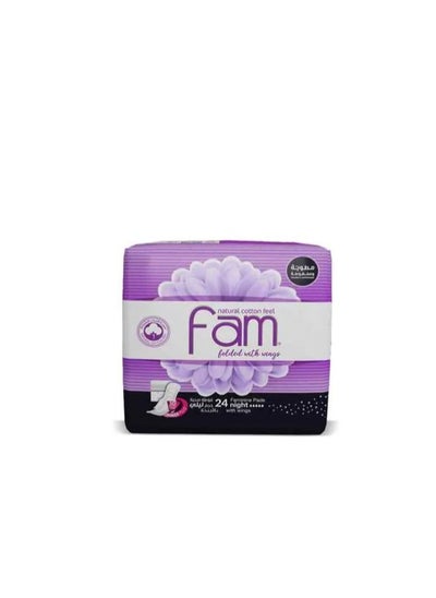 Buy Fam Maxi Sanitary Pad Folded With Wings Night White 24 Pad in UAE