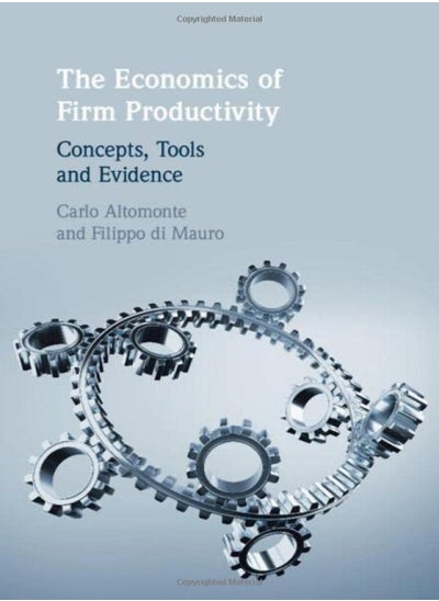 Buy The Economics Of Firm Productivity: Concepts, Tools And Evidence in UAE