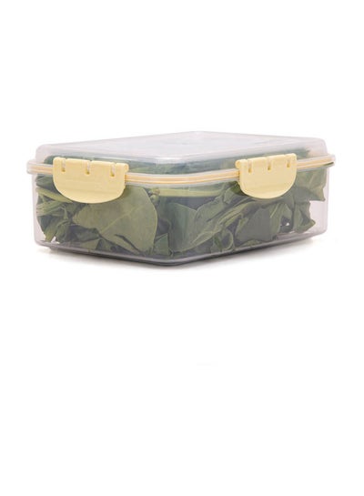 Buy Sealed Food Container 20x15x7 cm in Egypt