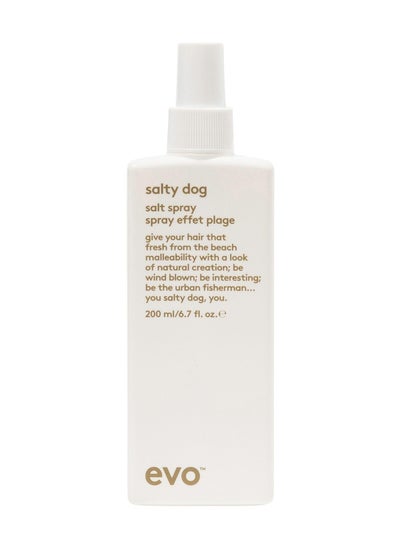 Buy Evo- salty dog salt spray 200ml in UAE