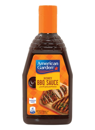 Buy Barbecue Sauce - Honey - 510 ml in Egypt