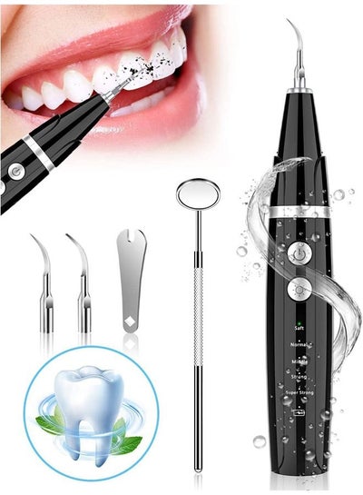 Buy Electric Rechargeable Plaque Remover for Teeth with LED Light and 5 Adjustable Modes and 2 Replacement Head in Saudi Arabia