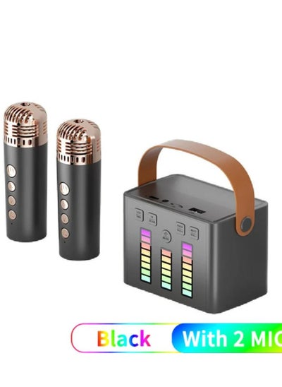 Buy Mini Karaoke Machine with 2 Wireless Microphones Karaoke Machine for Adults and Kids with Wireless Microphones PA Speaker System for Family Party Singing in UAE