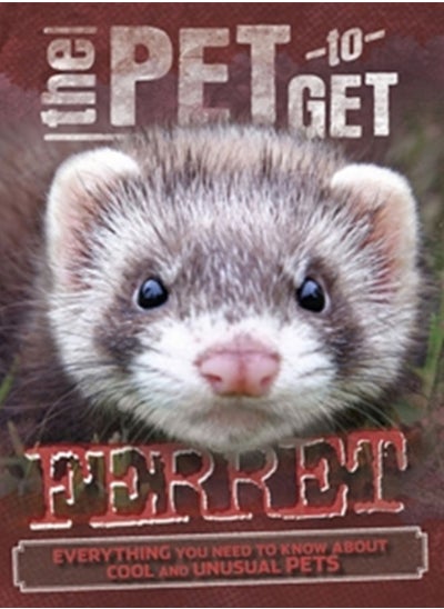 Buy The Pet to Get: Ferret in UAE