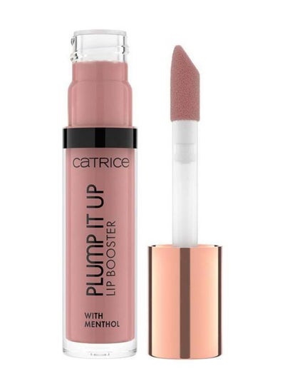 Buy Plump It Up Lip Booster 040 Prove Me Wrong in UAE