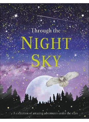 Buy Through the Night Sky: A collection of amazing adventures under the stars in UAE