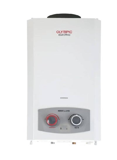 Buy Gas Water Heater 10 liter With Chimney Delta GC3 945105580 in Egypt