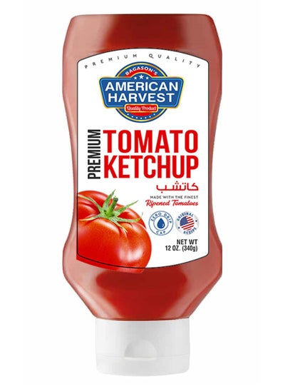 Buy Premium Tomato Ketchup 340grams in UAE