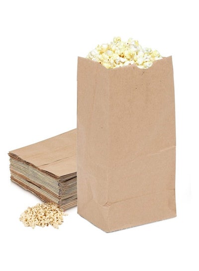 اشتري 2Lb Brown Paper Bags Package Of 500Ct في الامارات