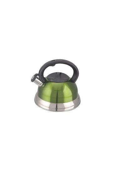 Buy 3-liter stainless steel kettle with whistle, green in Egypt
