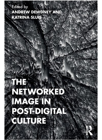 Buy The Networked Image in Post-Digital Culture in UAE