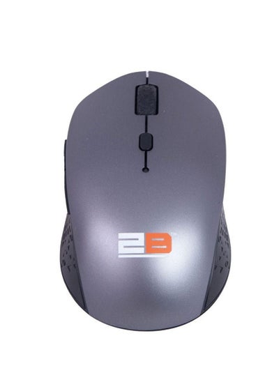 Buy 2B Dual Mode Wireless Mouse – Gray MO58A in Egypt