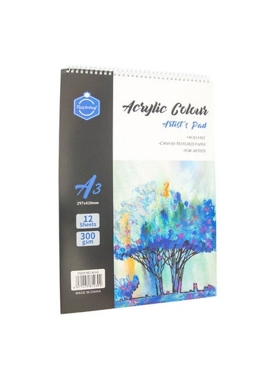 Buy Acrylic Paint A3 Sketch Book -12 Pages in Egypt